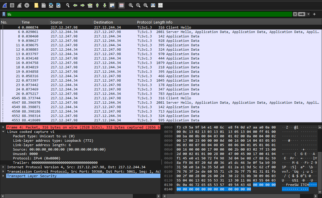 Wireshark packet capture showing VPN traffic encapsulated as standard TLS 1.3 over TCP 443